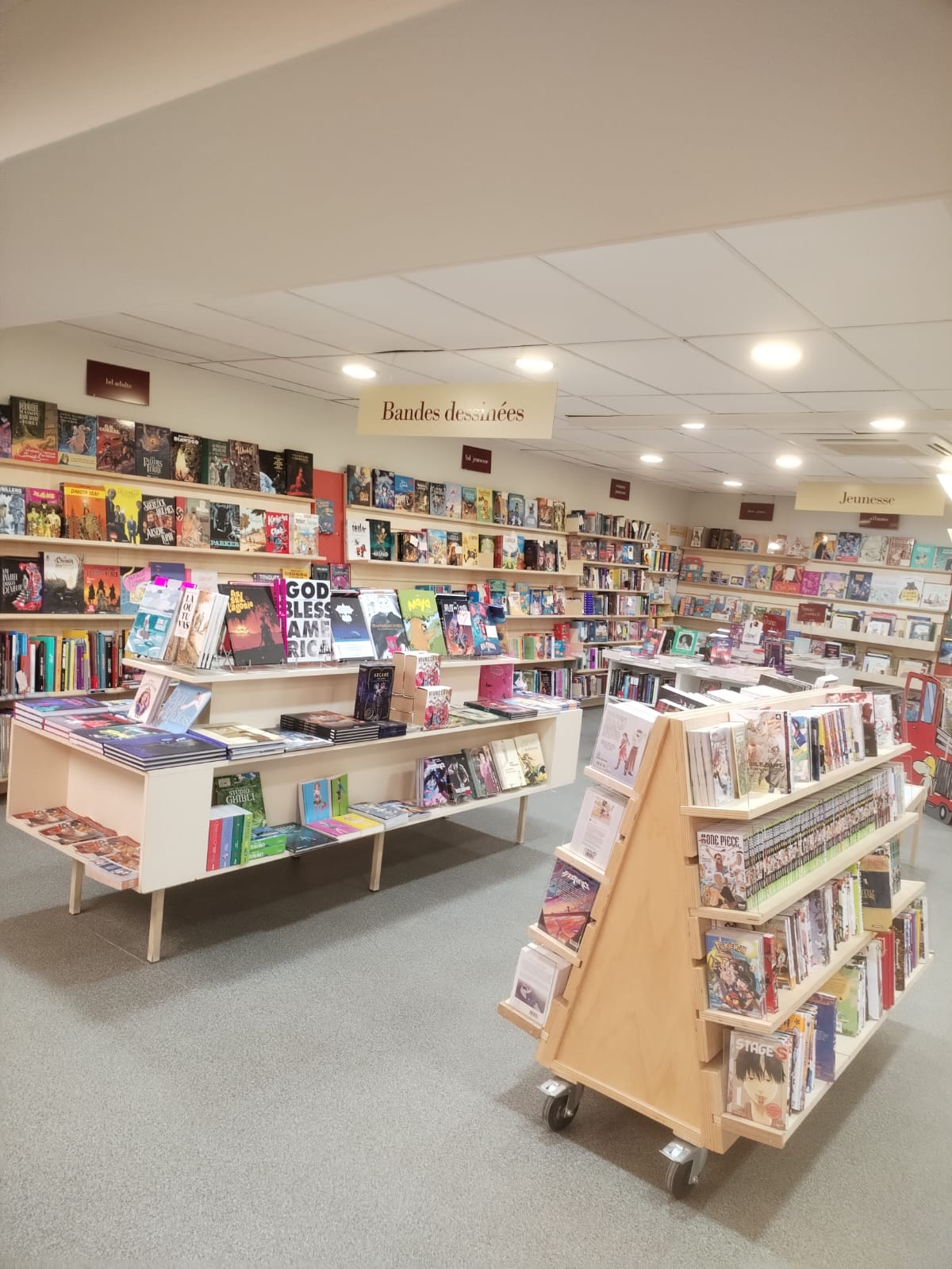 WhatsApp Image 2026-01-31 at 17.59.03