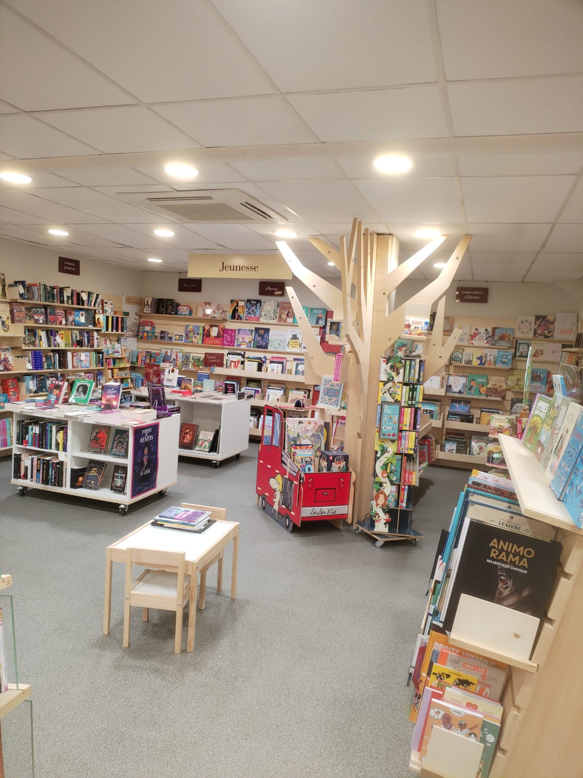 WhatsApp Image 2026-01-31 at 17.59.04 (1)